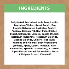 Grain Free Puppy Large Breed Dry Dog Food Lamb