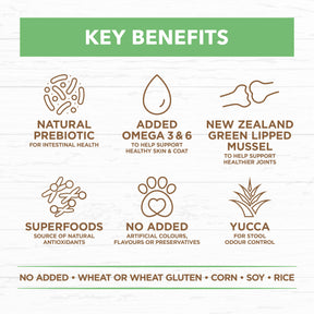 Grain Free Puppy Large Breed Dry Dog Food Lamb