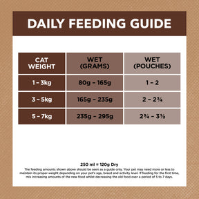 Grain Free Adult Wet Cat Food Chicken & Kangaroo in Gravy 85gx12