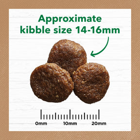 Grain Free Adult Large Breed Dry Dog Food Lamb