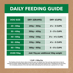 Grain Free Adult Large Breed Dry Dog Food Lamb