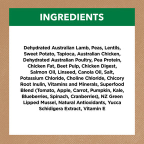 Grain Free Adult Large Breed Dry Dog Food Lamb