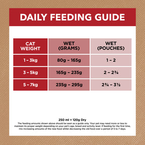 Grain Free Adult Wet Cat Food Chicken, Beef & Lamb in Gravy