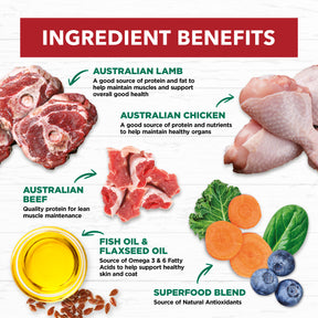 Grain Free Adult Wet Cat Food Chicken, Beef & Lamb in Gravy